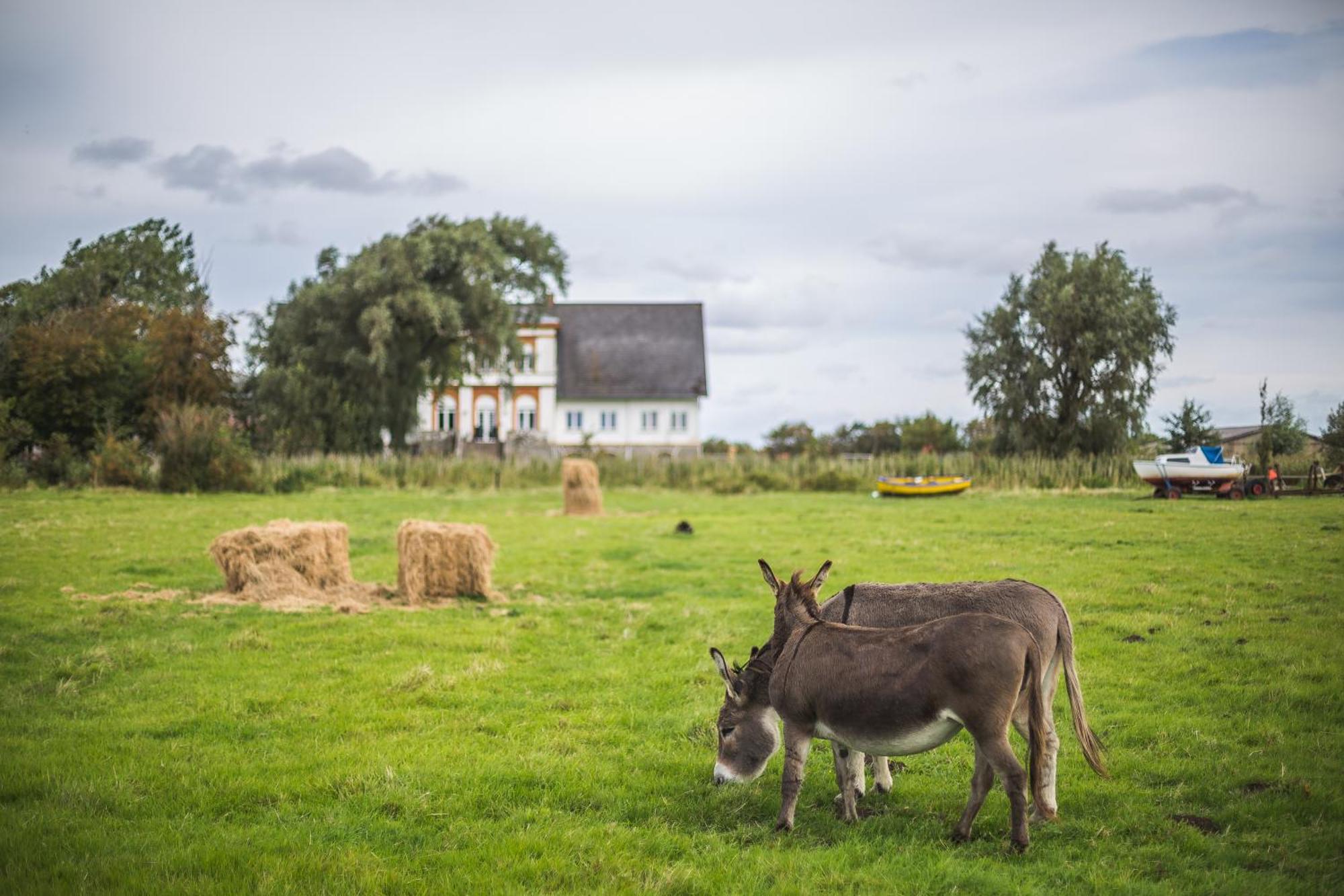 Højer Hohenwarte旅馆 外观 照片